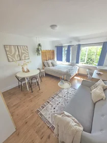 Stanza privata in Potgieterstraat, Nieuw Engeland, immagine 1 di 8