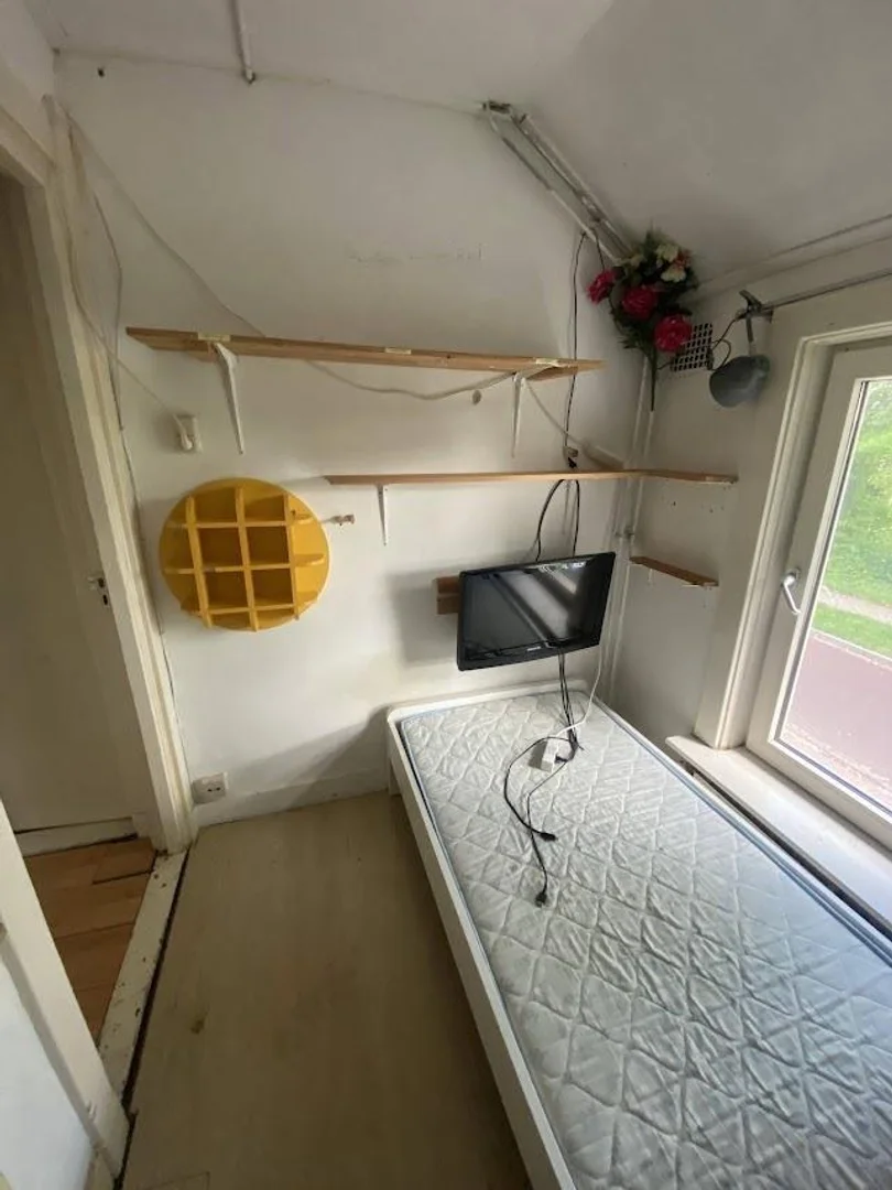 Affordable room for students with ample lighting in 