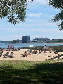Gesamte Unterkunft im Wohnheim in der 5, Hatch St., Unit 3, South Boston, Boston, MA, 02127, bild 12 von 16