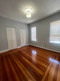 Gesamte Unterkunft im Wohnheim in der 5, Hatch St., Unit 3, South Boston, Boston, MA, 02127, bild 16 von 16