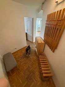 Entire apartment at Świętego Antoniego, image 11 of 15