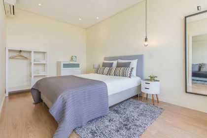 Apartamento inteiro em Gonçalo Cristóvão, imagem 1 de 19