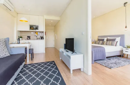 Apartamento inteiro em Gonçalo Cristóvão, imagem 2 de 19