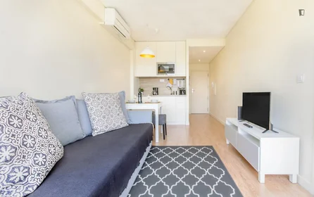 Apartamento inteiro em Gonçalo Cristóvão, imagem 14 de 19