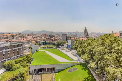 Apartamento inteiro em Gonçalo Cristóvão, imagem 19 de 19