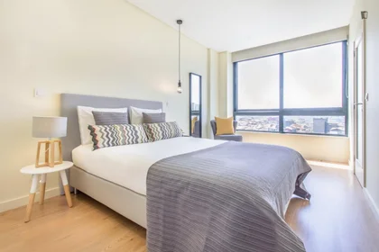 Apartamento inteiro em Gonçalo Cristóvão, imagem 7 de 19