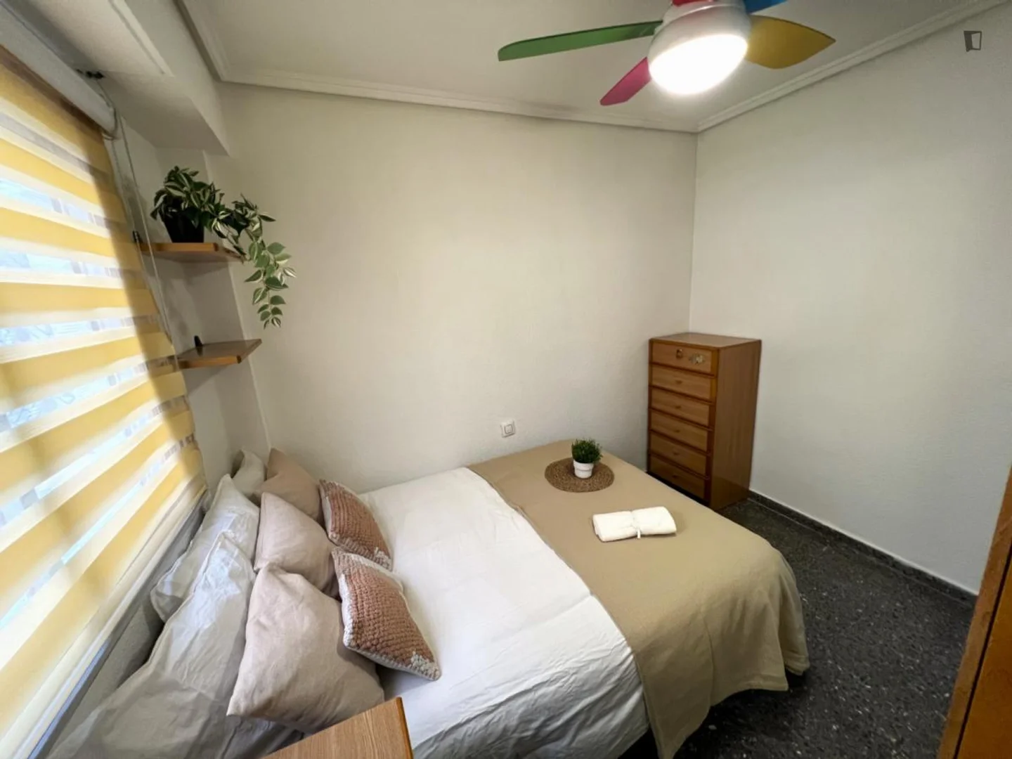 Chambre d'étudiant confortable et spacieuse dans