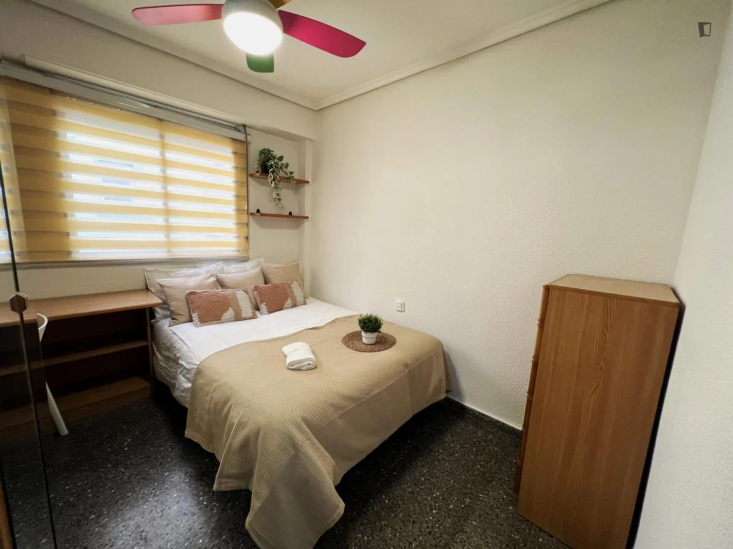Chambre confortable pour étudiants disponible dans