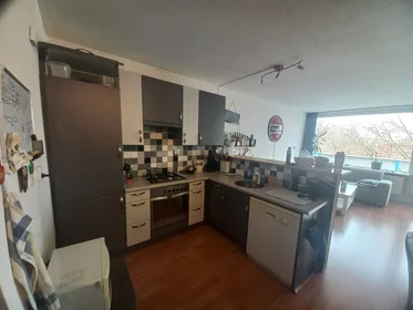 Prywatny pokój Foulkeslaan, obraz 1 5