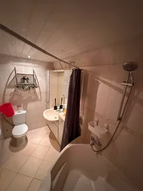 Logement entier à Brookhuislanden, image 6 de 8