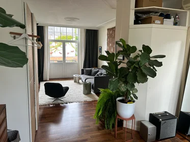 Appartamento intero in Groesbeekseweg, immagine 8 di 8
