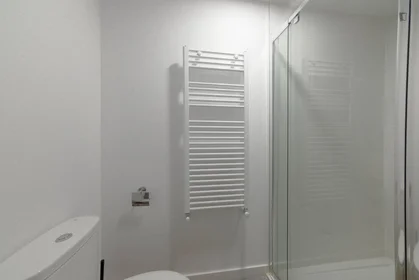 Habitación privada en Calle de Carranza, imagen 19 de 23