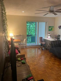 Entire apartment in residence at 18, Pond St., Unit 23, Jamaica Plain, Boston, MA, 02130, image 2 of 23