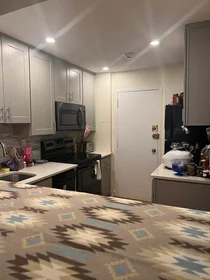 Entire apartment in residence at 18, Pond St., Unit 23, Jamaica Plain, Boston, MA, 02130, image 5 of 23