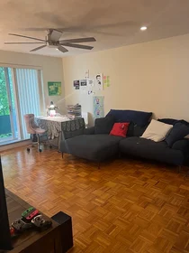 Entire apartment in residence at 18, Pond St., Unit 23, Jamaica Plain, Boston, MA, 02130, image 9 of 23