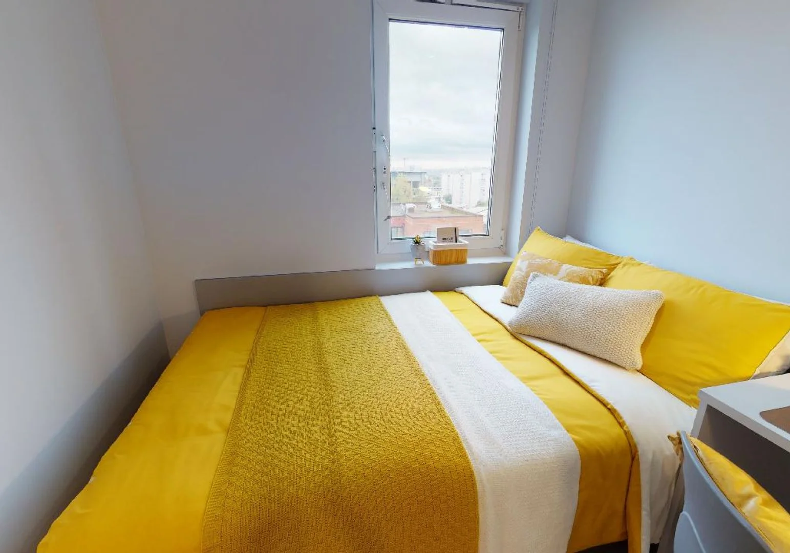 Room for rent in student apartment in , fully furnished