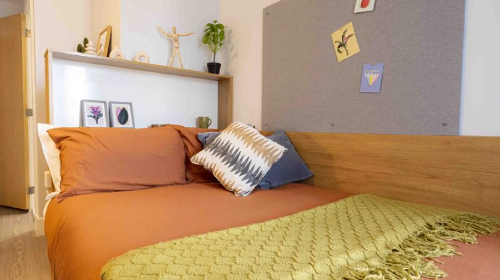 Chambre abordable pour les étudiants avec un bon éclairage dans 