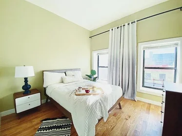Gesamte Unterkunft im Wohnheim in der 533 Nostrand Avenue, 3, Bedford-Stuyvesant, Brooklyn, NY, 11216, bild 13 von 15