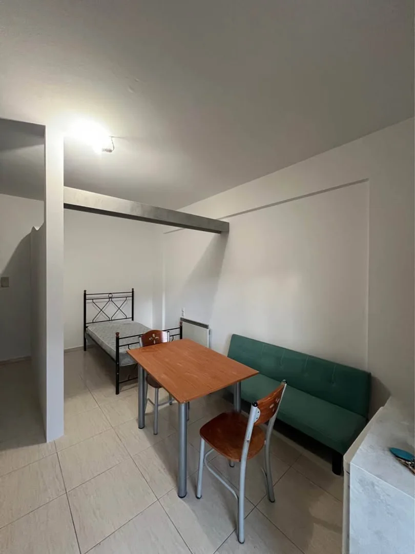 Affordable studio apartment with essential features in 