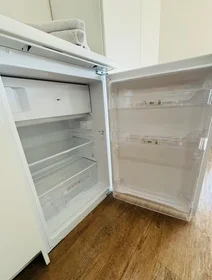 Gesamte Unterkunft in der Adalbertstraße, Innenstadt-West, bild 6 von 10