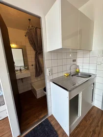 Gesamte Unterkunft in der Adalbertstraße, Innenstadt-West, bild 8 von 10