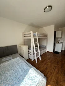 Gesamte Unterkunft in der Adalbertstraße, Innenstadt-West, bild 10 von 10