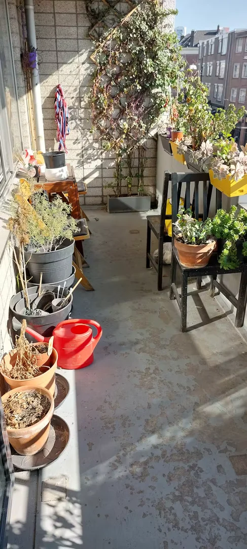 Coolsestraat, Centrum
