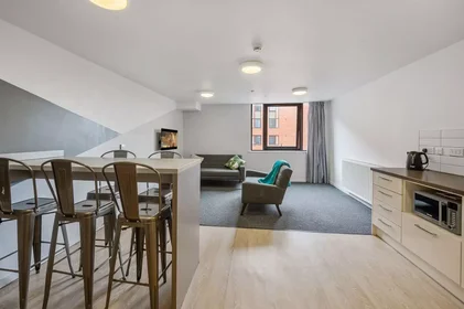 Özel oda konumu Beith Street, 4 49 görüntüsü