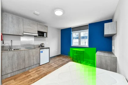 Chambre privée à Babington Lane, image 5 de 20