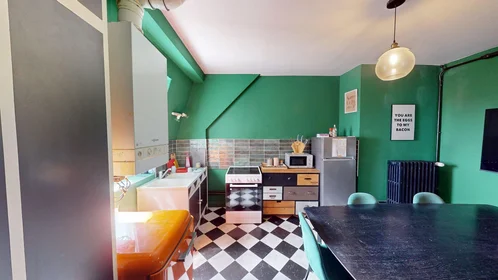 Prywatny pokój 48 Avenue de Colmar, obraz 1 15