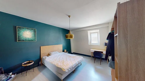 Prywatny pokój 48 Avenue de Colmar, obraz 5 15