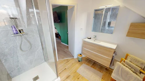 Prywatny pokój 19 Rue de Belfort, 68200 Mulhouse, France, obraz 11 16
