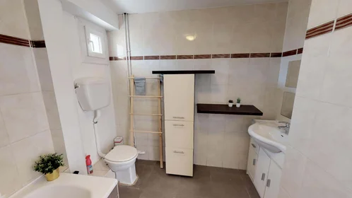 Chambre privée à 404 Cr Émile-Zola, 69100 Villeurbanne, France, image 12 de 14
