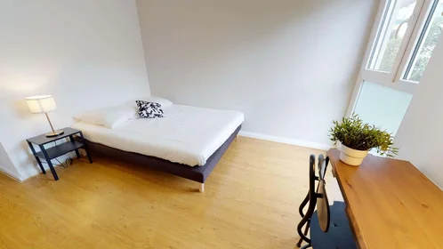 Stanza privata in 7 Av. Auguste Blanqui, 69100 Villeurbanne, France, immagine 1 di 19