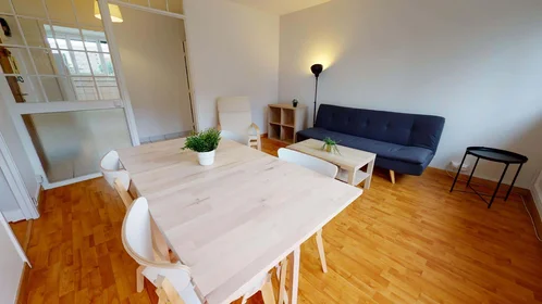 Stanza privata in 7 Av. Auguste Blanqui, 69100 Villeurbanne, France, immagine 16 di 19