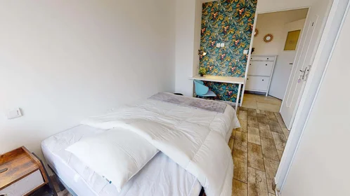 Private room at 90 Rue Greuze, 69100 Villeurbanne, France, image 2 of 16