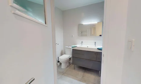 Private room at 90 Rue Greuze, 69100 Villeurbanne, France, image 11 of 16