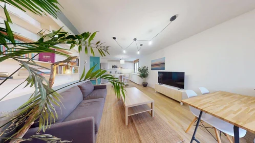 Stanza privata in 36 Rue de la Baïsse, 69100 Villeurbanne, France, immagine 1 di 10