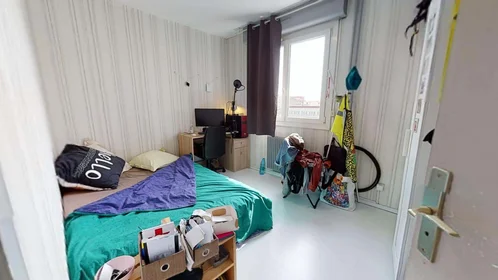 Private room at 106 Bd du 11 Novembre 1918, 69100 Villeurbanne, France, image 1 of 15