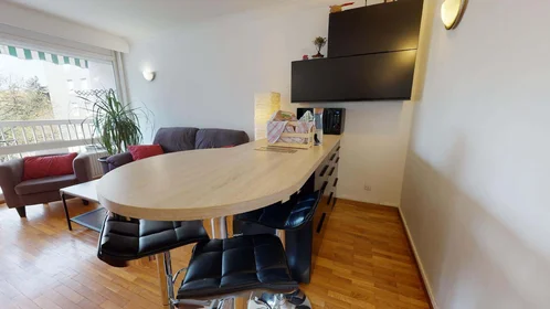Private room at 106 Bd du 11 Novembre 1918, 69100 Villeurbanne, France, image 12 of 15