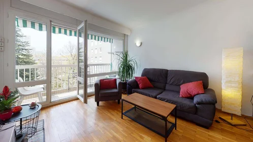 Private room at 106 Bd du 11 Novembre 1918, 69100 Villeurbanne, France, image 14 of 15