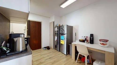 Private room at 106 Bd du 11 Novembre 1918, 69100 Villeurbanne, France, image 8 of 15