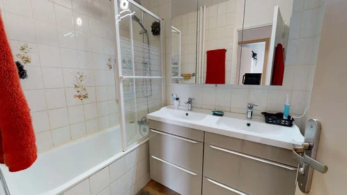 Private room at 106 Bd du 11 Novembre 1918, 69100 Villeurbanne, France, image 10 of 15