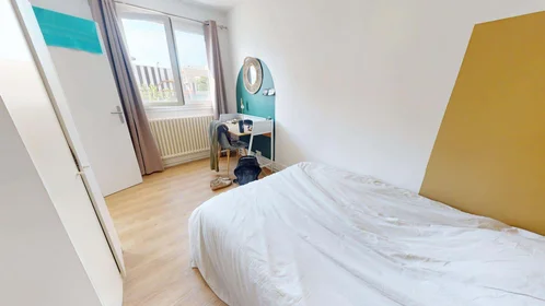 Stanza privata in 115 Rue Professeur Beauvisage, 69008 Lyon, France, immagine 1 di 10