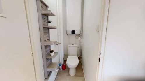 Private room at 90 Rue Greuze, 69100 Villeurbanne, France, image 13 of 13