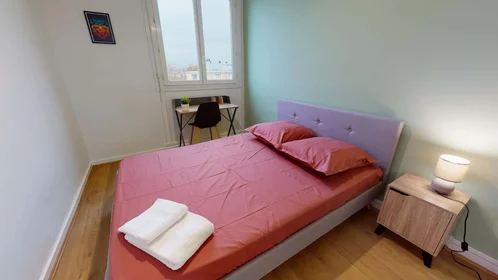 Private room at 261 Rue du 4 Août 1789, 69100 Villeurbanne, France, image 1 of 10