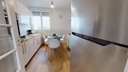 Private room at 261 Rue du 4 Août 1789, 69100 Villeurbanne, France, image 7 of 15