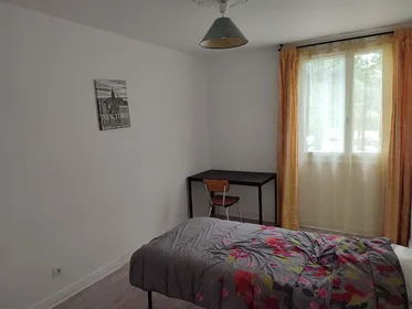 Chambre privée à 21 Rue Alfred Brinon, 69100 Villeurbanne, France, image 1 de 22