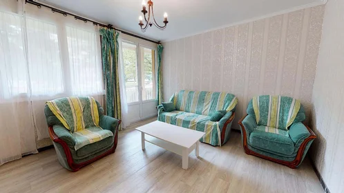 Chambre privée à 21 Rue Alfred Brinon, 69100 Villeurbanne, France, image 4 de 22
