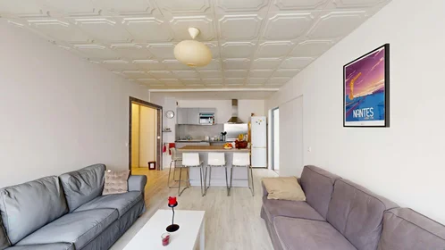 Prywatny pokój 17 Rue de la Prte Gellée, 44200 Nantes, France, obraz 1 10